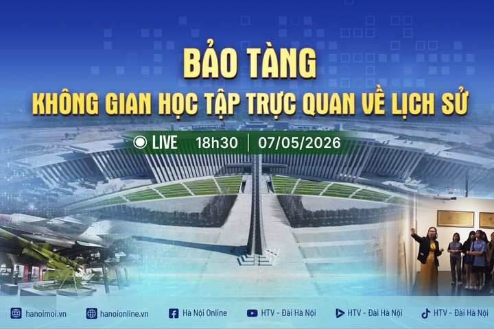 [TRỰC TIẾP] Chương trình thời sự: Bảo tàng - không gian học tập trực quan về lịch sử