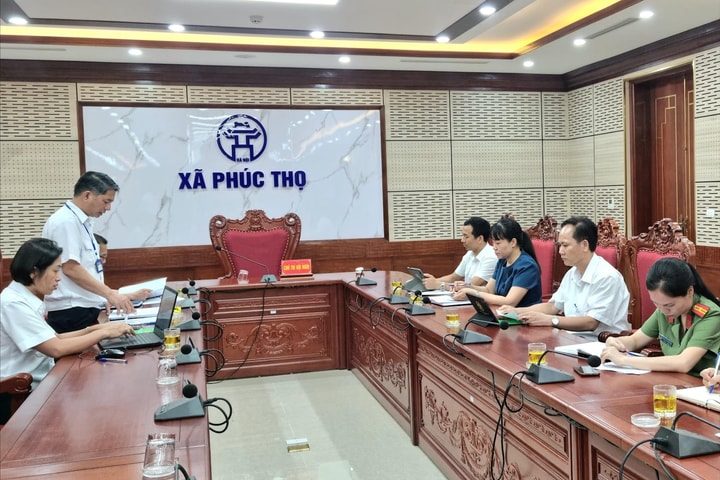 Kiểm tra công tác quản lý giết mổ, vận chuyển, kinh doanh động vật, sản phẩm động vật tại các xã Phúc Thọ, Dương Hòa