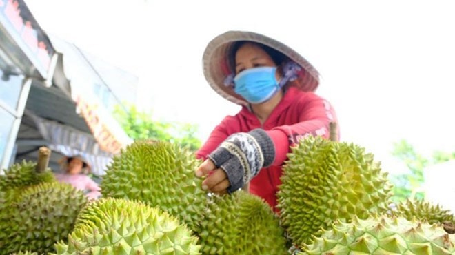 Gỡ “nút thắt” kiểm nghiệm để cứu giá sầu riêng, thúc đẩy xuất khẩu nông sản