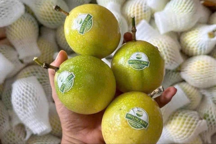 Nông sản Việt Nam trước yêu cầu của thị trường và tiêu chuẩn xanh