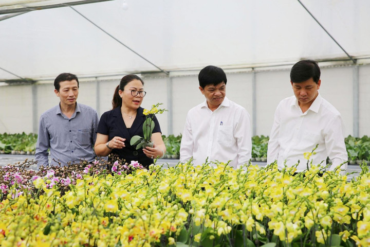 Xã Đan Phượng khơi thông động lực phát triển cho giai đoạn mới
