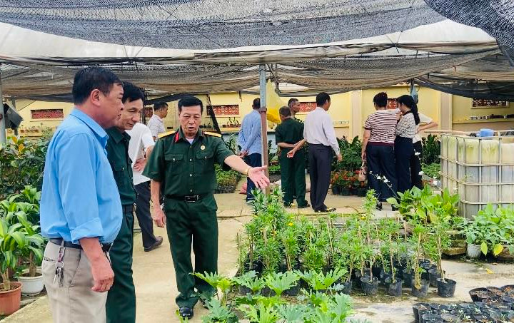 Phúc Thọ phát huy kinh tế cựu chiến binh từ mô hình liên kết