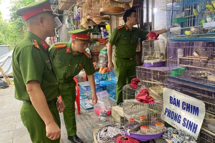 Siết chặt quản lý thị trường chim cảnh, ngăn chặn vi phạm về động vật hoang dã