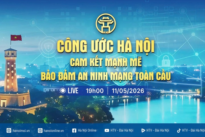 [Trực tiếp] Chương trình thời sự Công ước Hà Nội - Cam kết mạnh mẽ đảm bảo an ninh mạng toàn cầu