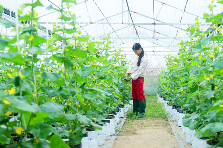 Ngành Nông nghiệp 4 tháng đầu năm 2026: Thích ứng linh hoạt để giữ đà tăng trưởng