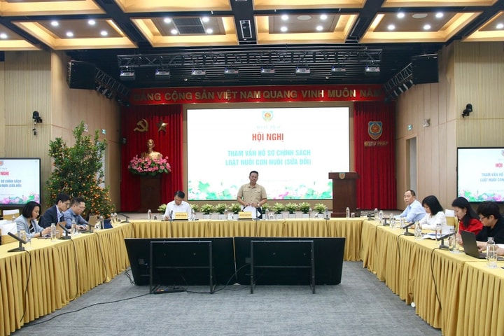 Xây dựng dự án Luật Nuôi con nuôi (sửa đổi), trình Chính phủ trong tháng 6-2026
