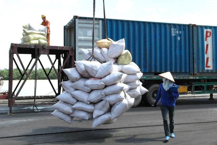 Bước ngoặt mới của xuất khẩu gạo Việt Nam