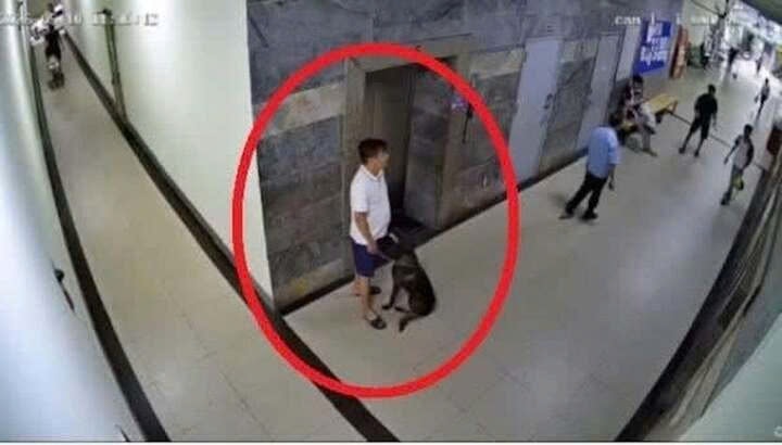 Thú cưng không thể là “lá chắn” cho hành vi coi thường cộng đồng