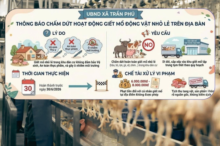 Xã Trần Phú chấm dứt hoạt động giết mổ nhỏ lẻ trong khu dân cư