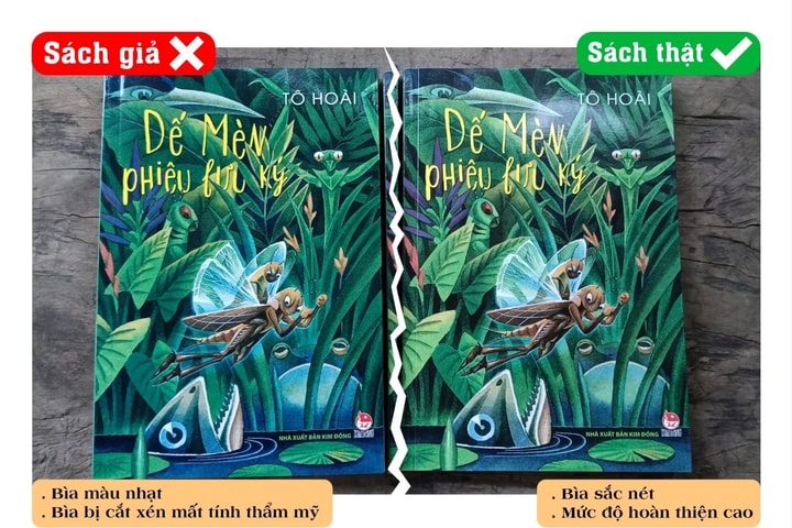 Tăng cường ngăn chặn việc sao chép, phát hành xuất bản phẩm vi phạm bản quyền
