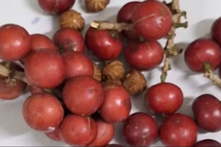 Điều tra, xử lý vụ nghi ngờ ngộ độc thực phẩm trên địa bàn tỉnh Lai Châu