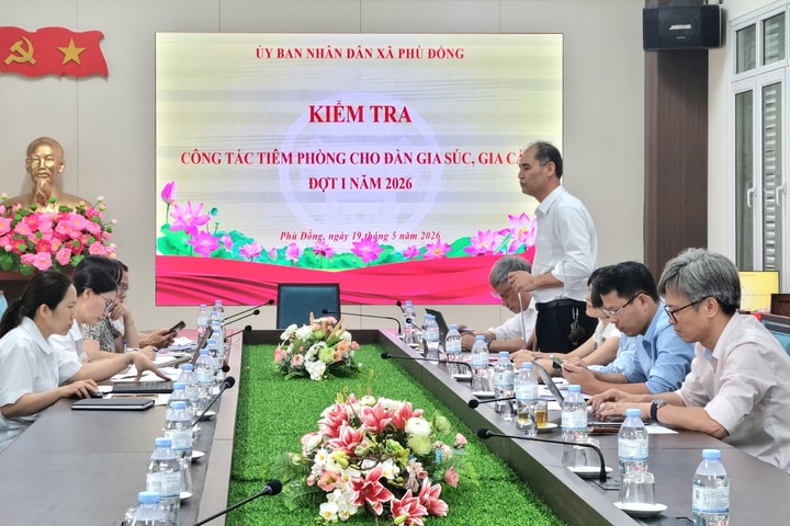 Xã Phù Đổng cần sớm hoàn thành công tác tiêm phòng dại chó, mèo