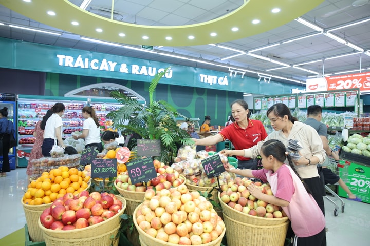 Phân phối trực tiếp và WinMart+ Nông thôn trở thành động lực tăng trưởng mới của Masan