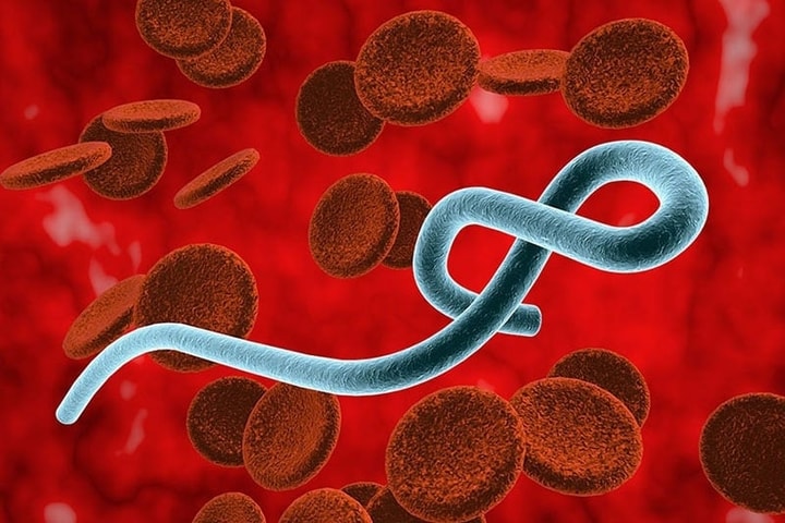 [Podcast] Tin tức ngày 24-5: Bộ Y tế chỉ đạo khẩn về phòng, chống dịch Ebola xâm nhập