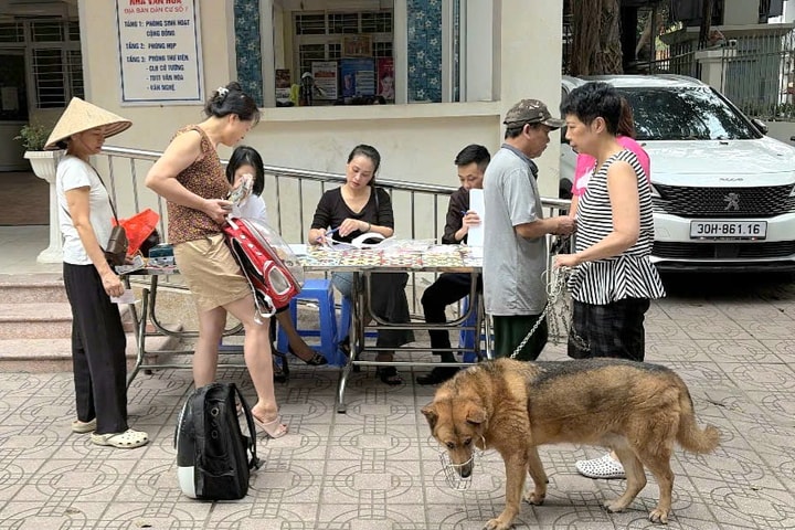 Hà Nội tăng cường triển khai đồng bộ các giải pháp phòng, chống bệnh dại động vật