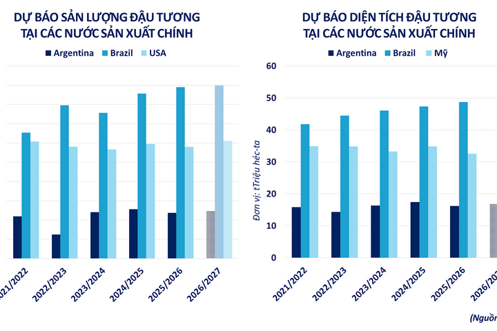 Thị trường phân hóa mạnh, ca cao bật tăng gần 10%