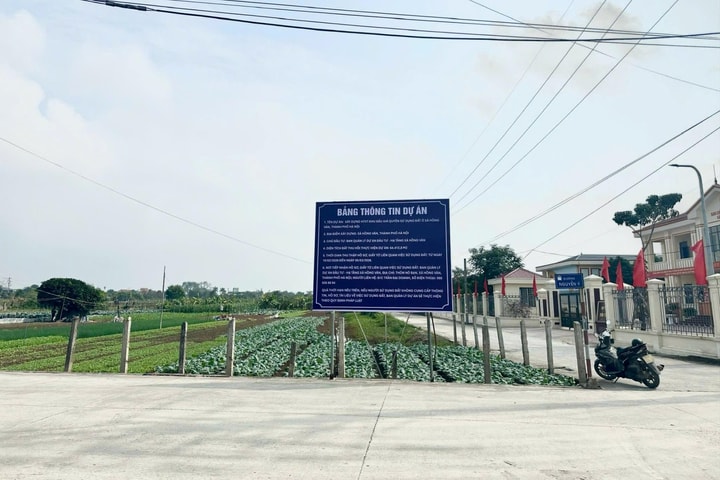 Dự án xây dựng khu đấu giá quyền sử dụng đất ở xã Hồng Vân: Còn 9 hộ chưa thực hiện đền bù, giải phóng mặt bằng