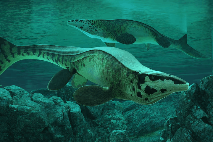 “T. rex của biển cả” lộ diện sau 80 triệu năm