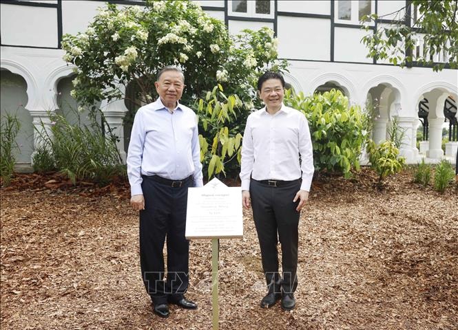 Tổng Bí thư, Chủ tịch nước Tô Lâm và Thủ tướng Lawrence Wong trồng cây tại Vườn Bách thảo Singapore