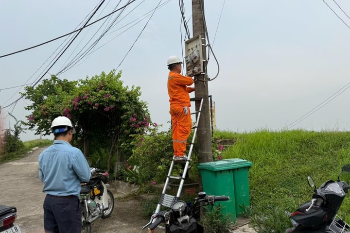 Xã Hồng Vân: Cắt điện 9 trường hợp vi phạm tại bãi sông Hồng