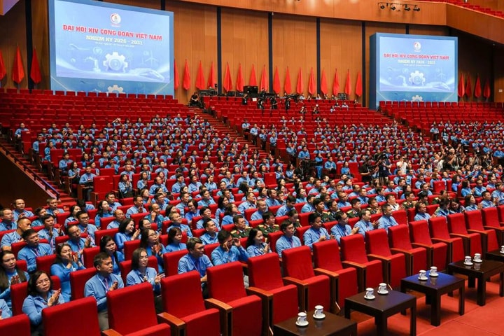 Hoàn thiện về nguyên tắc tổ chức và hoạt động của Công đoàn Việt Nam
