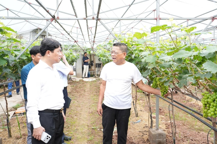 Những người "gieo" khát vọng trên đồng đất Thuận An