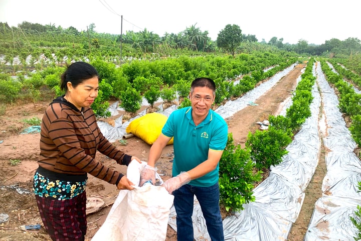 Nông dân Nam Phù phát huy vai trò “hạt nhân xanh” trong bảo vệ môi trường