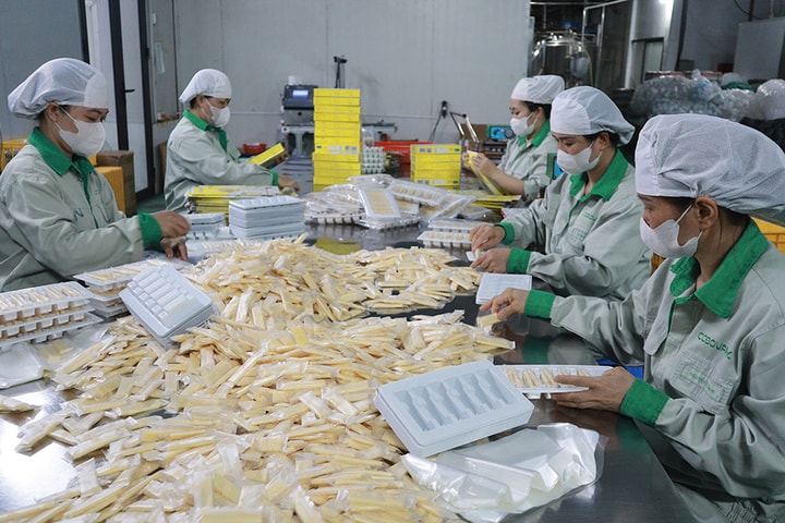 Ngọt thơm “sữa trắng Ba Vì”