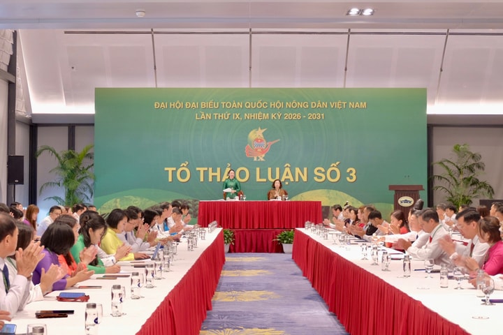 Đại hội lần thứ IX Hội Nông dân Việt Nam: Đại biểu tích cực tham góp ý kiến hoàn thiện văn kiện