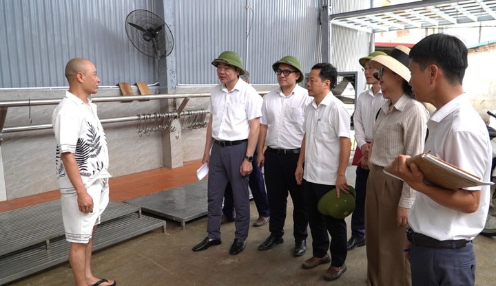 Xã Đại Xuyên đôn đốc triển khai Khu liên hợp giết mổ tập trung