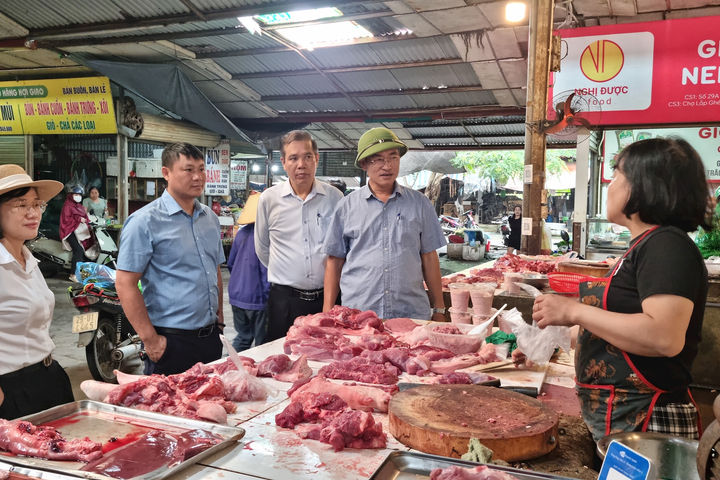 Các xã Thư Lâm, Gia Lâm quyết tâm chấm dứt hoạt động giết mổ động vật nhỏ lẻ trước 30-6