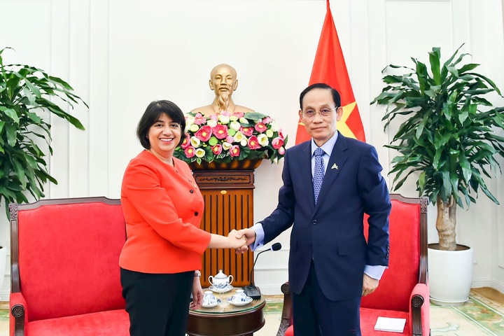 Anh sẵn sàng hỗ trợ Việt Nam đào tạo nguồn nhân lực chất lượng cao