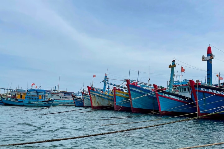 Diễn biến mới về vùng áp thấp trên Biển Đông