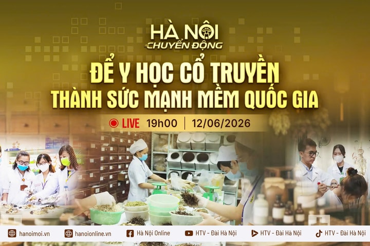 [TRỰC TIẾP] Hà Nội chuyển động: Để y học cổ truyền thành sức mạnh mềm quốc gia