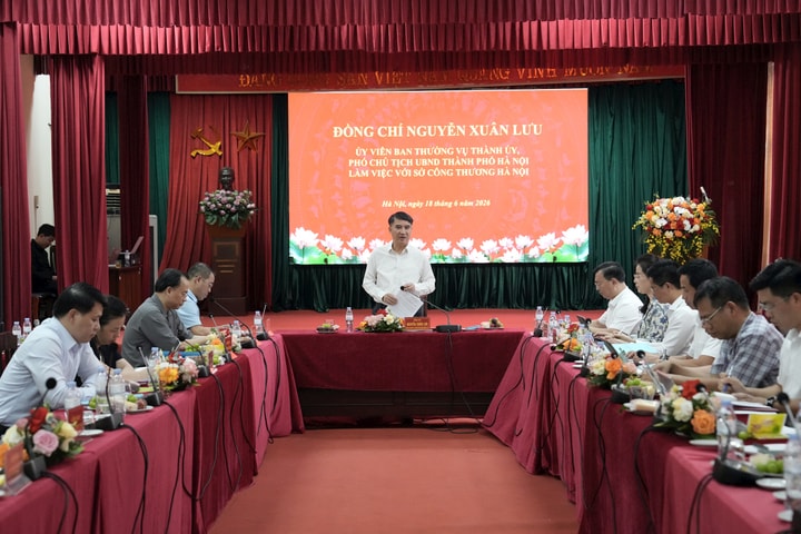 Hà Nội: Gỡ vướng mắc, đẩy nhanh tiến độ xây dựng công trình điện trọng điểm
