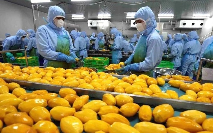 Xuất khẩu nông sản đối diện thách thức thiên tai