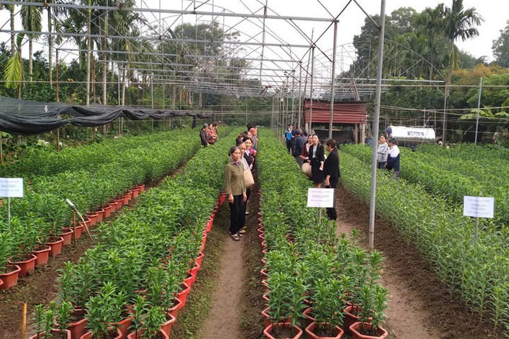 Xã Mỹ Đức: Hơn 550 hội viên nông dân được tiếp cận các nguồn vốn ưu đãi