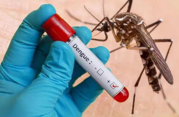 Sốt xuất huyết Dengue: Diễn biến khó lường, không theo quy luật cũ