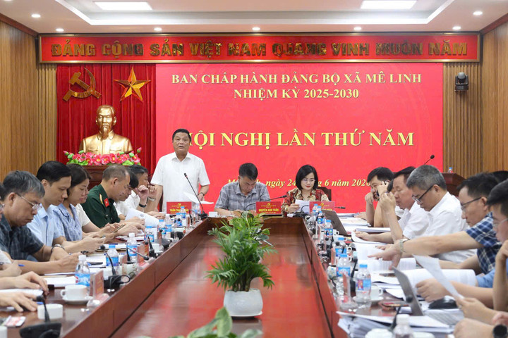 Xã Mê Linh hoàn thành trước hạn 65/66 nhiệm vụ thành phố giao