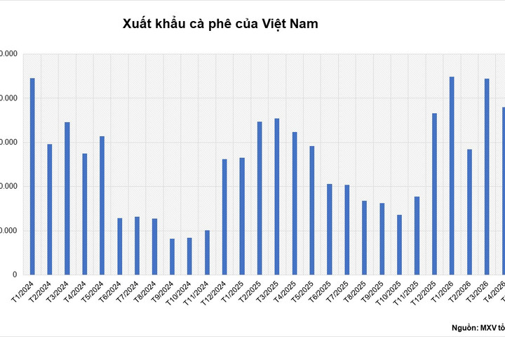 Dòng tiền tập trung vào nhóm họ đậu và cà phê