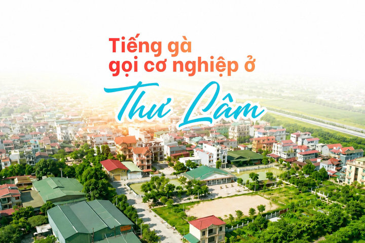 Tiếng gà gọi cơ nghiệp ở Thư Lâm