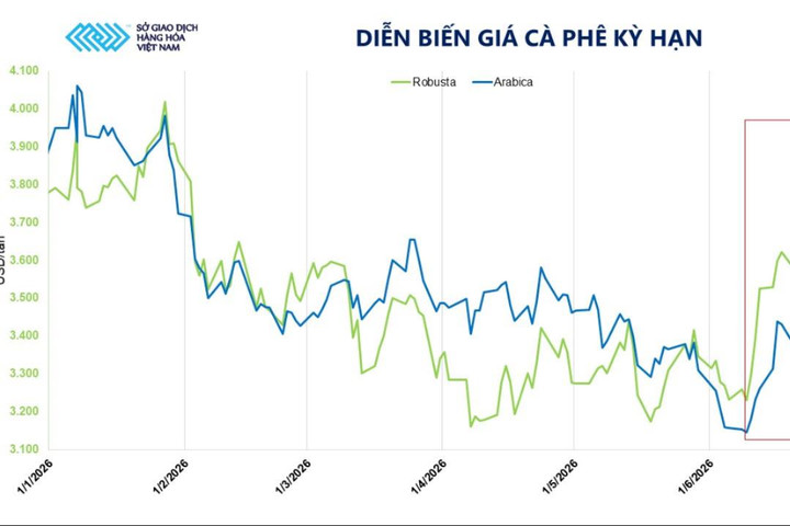 Cà phê dẫn dắt, MXV-Index tăng điểm