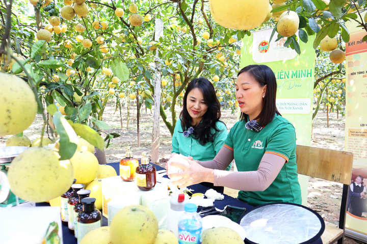 Phát triển nông nghiệp xanh nâng tầm kinh tế nông thôn