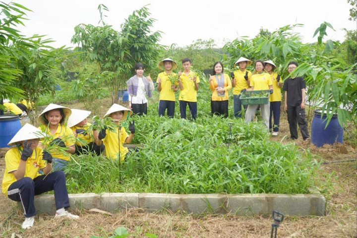 Ra mắt mô hình “Green Hero Garden - Vườn xanh cộng đồng”