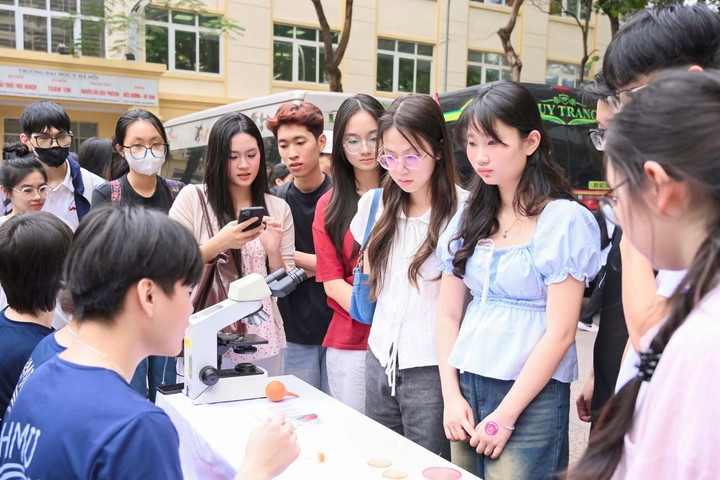 Ngưỡng bảo đảm chất lượng đầu vào chương trình đào tạo giáo viên, lĩnh vực sức khỏe và pháp luật