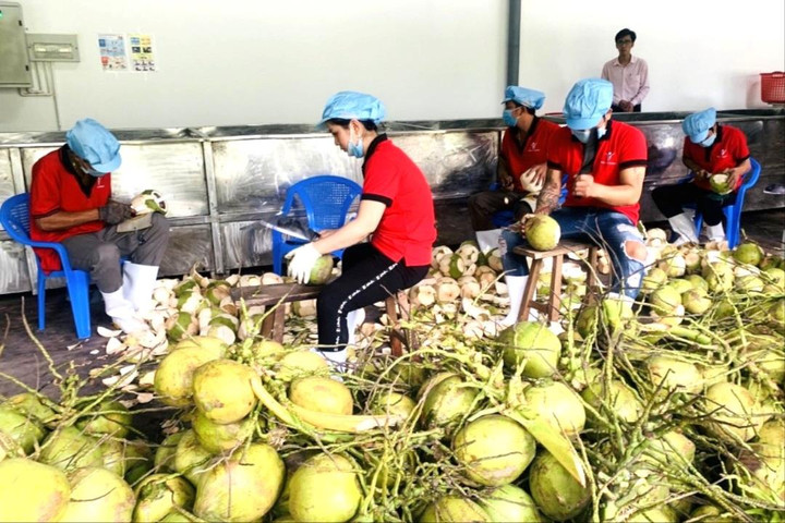 Hai điểm nghẽn của xuất khẩu rau quả Việt