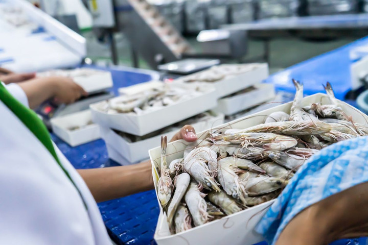 Doanh nghiệp thuỷ sản nâng cao năng lực cạnh tranh, thúc đẩy xuất khẩu