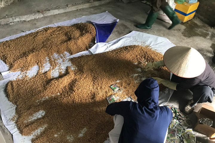 Giữ màu xanh trên từng cánh đồng