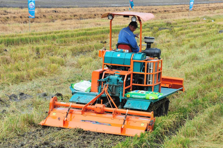 Giá phân bón tăng cao, nông dân chịu áp lực kép