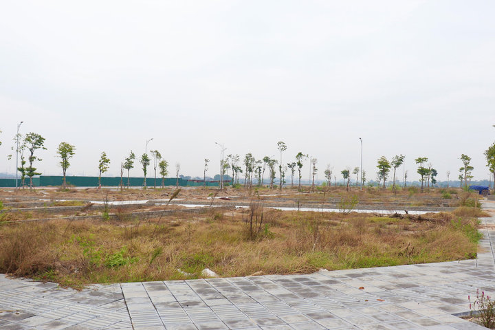 Đấu giá đất đã qua thời kỳ phải mua bằng mọi giá